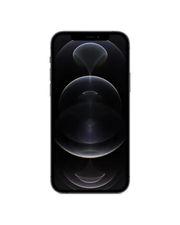 Apple iPhone 12 Pro Max 256 Gb Grafito